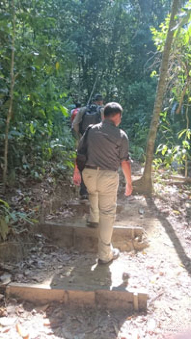 An encounter with the delightful orang utan